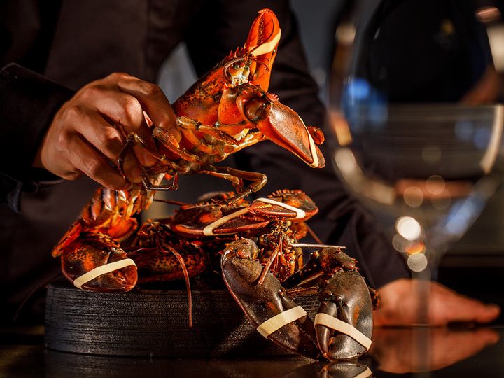 銀座『PLEIN 銀座本店』の「オマール海老のブイヤベース仕立て」で使用しているオマール海老