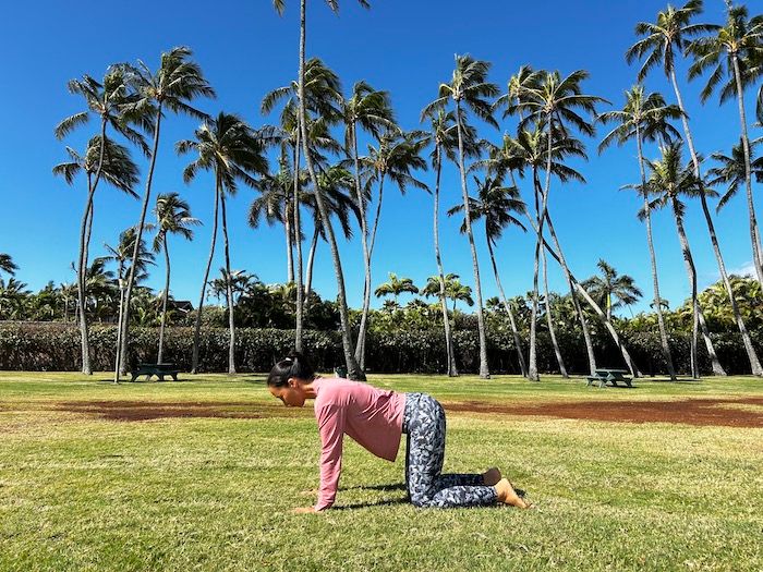 肩の真下に手を置き、両ひざをつく