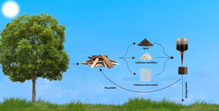 木の天然成分のみで作られた「粘性インク」