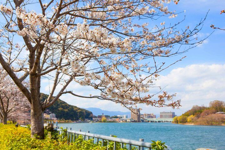 紫式部ゆかりの「石山寺」で、大河ドラマの世界と平安の恋にときめいて♪
