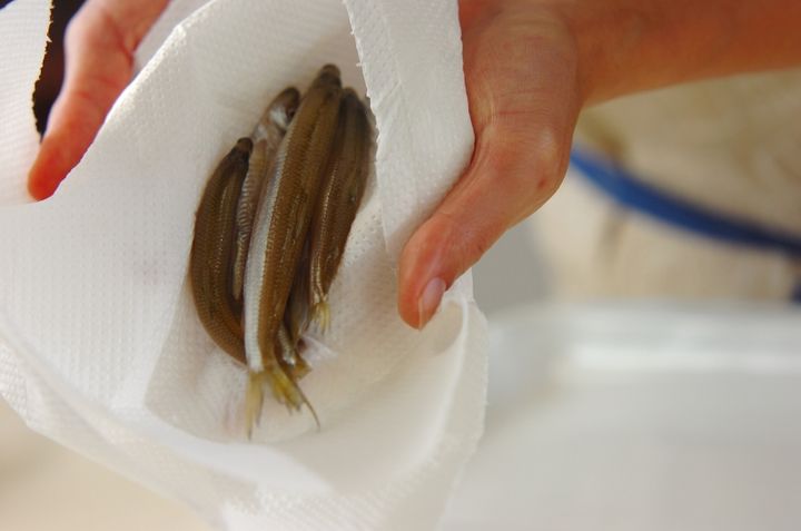 ワカサギの唐揚げの下準備1