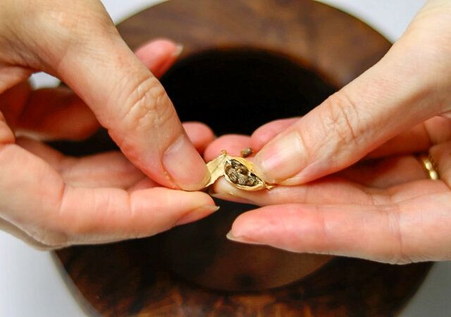 セムラ レシピ カルダモンをすり潰す