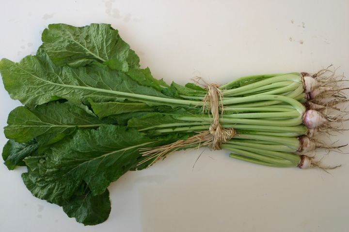 収穫された野沢菜。蕪本体は小さく、菜っ葉の部分が1mになるほど大きく育ちます