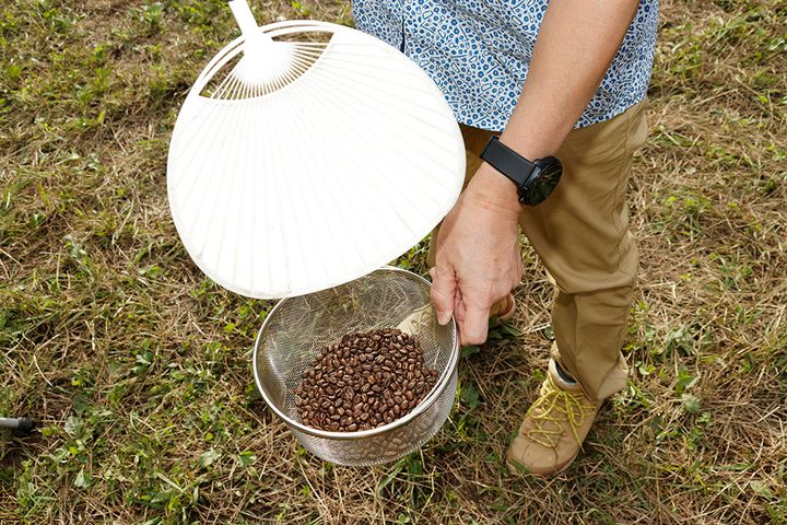 【焙煎から注ぎ方まで】コーヒーのプロが教える！キャンプで絶品コーヒーを淹れるコツ