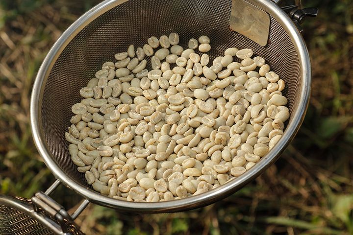 【焙煎から注ぎ方まで】コーヒーのプロが教える！キャンプで絶品コーヒーを淹れるコツ