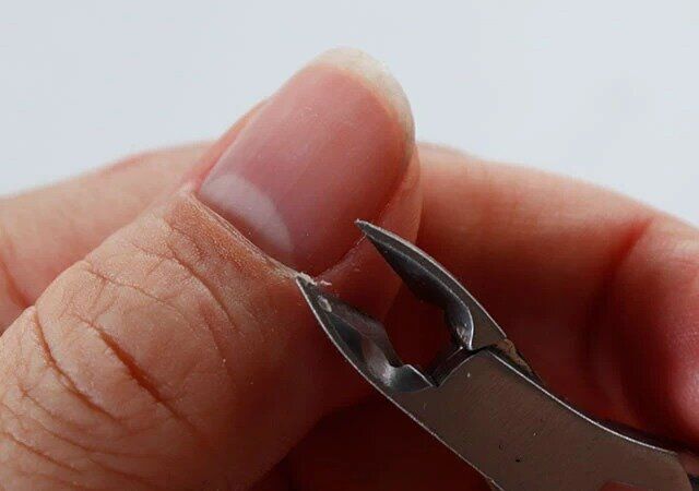 キューティクルニッパーの使用感