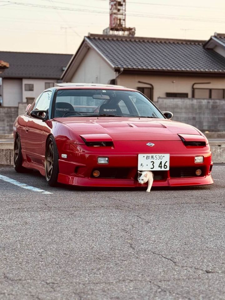 180SXのフロントバンパーの中から出てくる猫