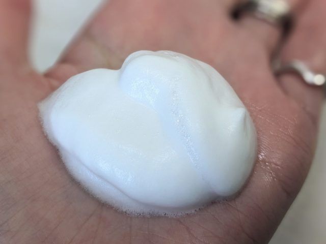 ノエビアの写真