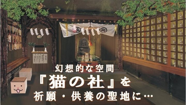 猫の健康祈願と供養の場となる「猫の杜」を目指し、秋田の忠猫神社が支援募集中