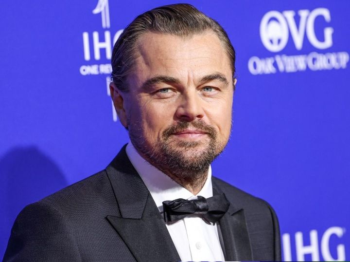 画像1: レオナルド・ディカプリオが25歳恋人と婚約？