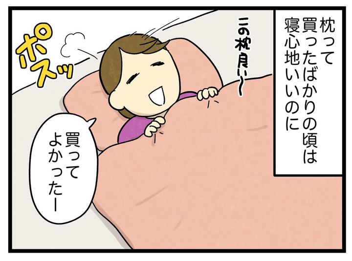 画像1: 枕の代わり
