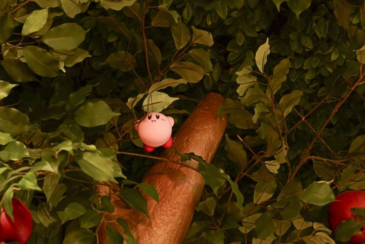 ウィスピーウッズの中に隠れたカービィを発見！