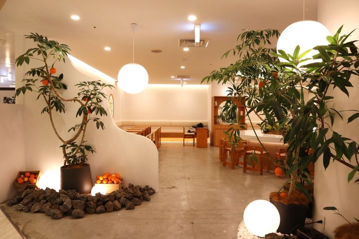 入口には店のシンボルのオレンジの木が