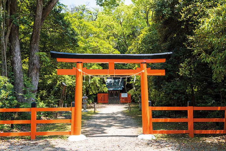 京都よりみちこみち 上賀茂神社〜半木の道【後編】