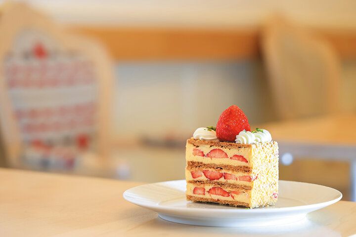 京都よりみちこみち 上賀茂神社〜半木の道【後編】