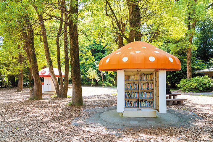 京都よりみちこみち 上賀茂神社〜半木の道【後編】