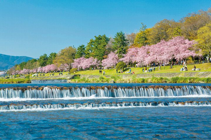 京都よりみちこみち 上賀茂神社〜半木の道【後編】