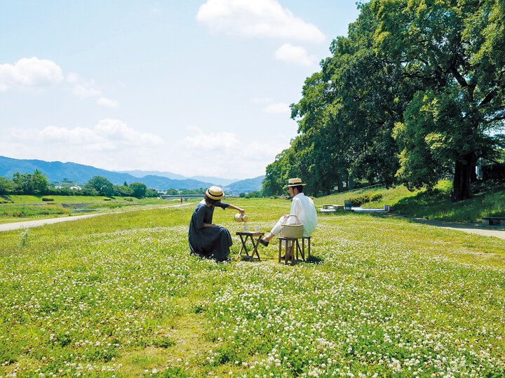 京都よりみちこみち 上賀茂神社〜半木の道【後編】