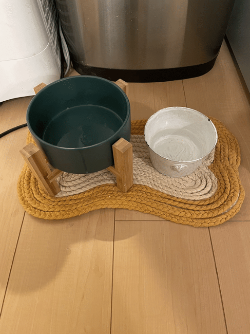 スタイリストのおしゃれなお部屋を拝見！愛犬と好きなものに囲まれて暮らすワンルーム【FUDGE おしゃれな人のルームツアー vol.5】