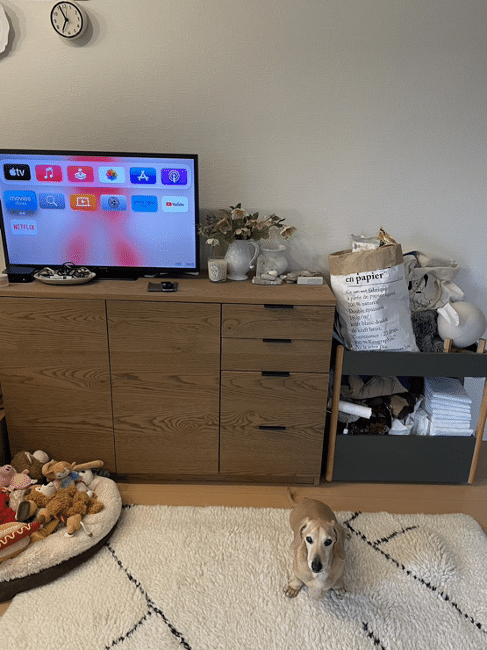 スタイリストのおしゃれなお部屋を拝見！愛犬と好きなものに囲まれて暮らすワンルーム【FUDGE おしゃれな人のルームツアー vol.5】