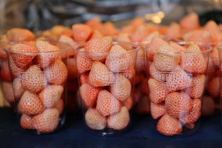 NORTHSHORE CAFE＆DINING 北浜店