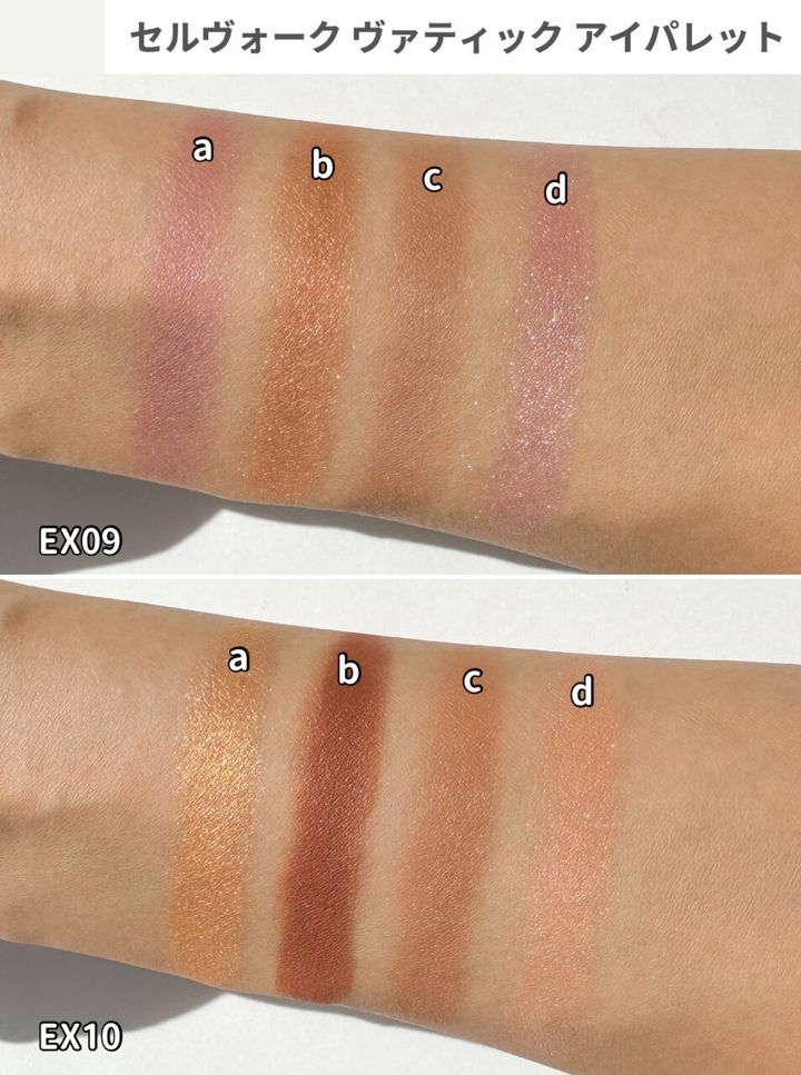 セルヴォーク ヴァティック アイパレット