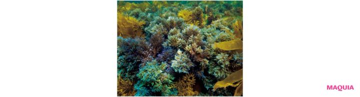 オイリー肌こそ保湿のアップデートを！ 皮脂ケア&保湿を叶えるアイテムを紹介_8