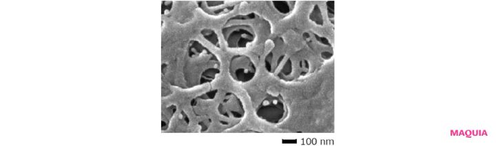 オイリー肌こそ保湿のアップデートを！ 皮脂ケア&保湿を叶えるアイテムを紹介_4