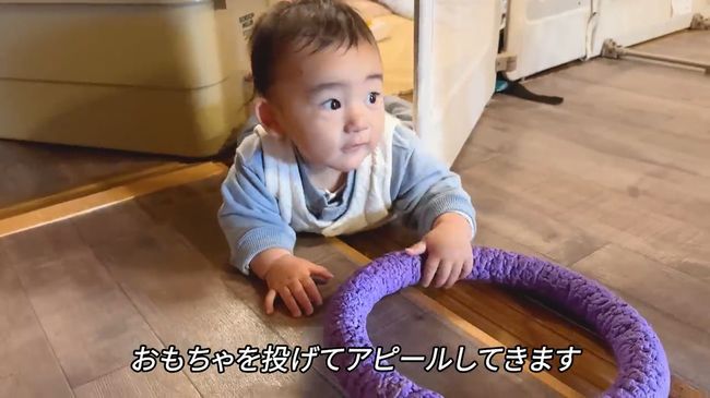 赤ちゃんにどうしても遊んでほしいワンコが…