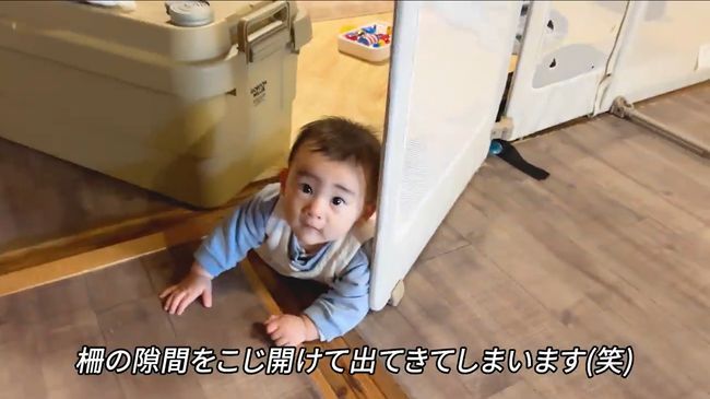 赤ちゃんにどうしても遊んでほしいワンコが…