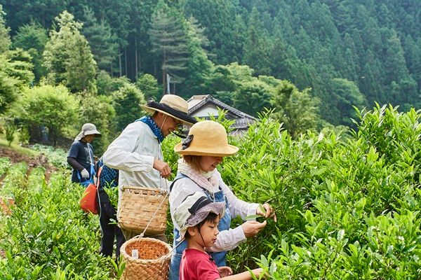 【絶対行って】カヤックや茶摘を都内で！見どころ満載の春イベントが開催決定！