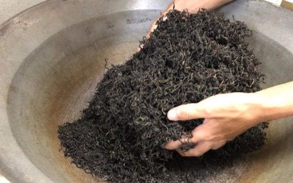 【絶対行って】カヤックや茶摘を都内で！見どころ満載の春イベントが開催決定！