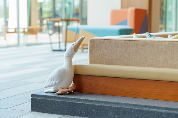 ビビッドなアートで愛知・犬山のストーリーを伝える「ホテルインディゴ犬山有楽苑」