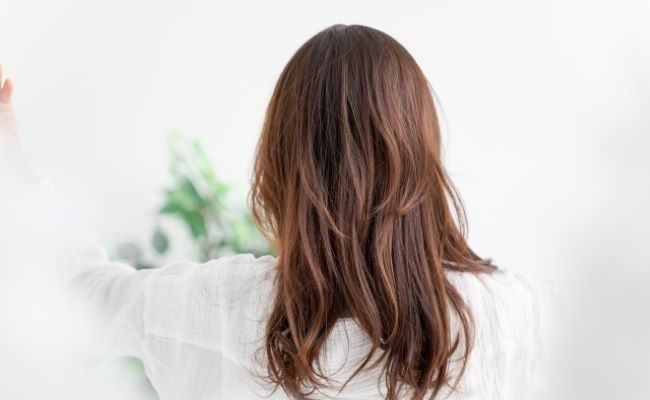 後ろ姿イメージ