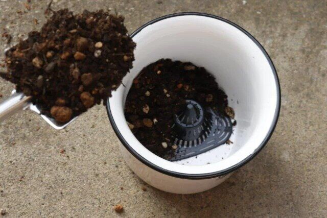 ダイソーのナチュラルポット（直径約10cm、高さ約8.5cm）の使用方法