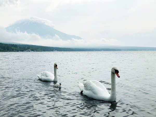 ソロキャンに最適！都心からアクセス抜群の山中湖に行ってみた！