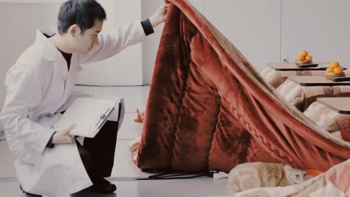 「猫は炬燵で丸くなる」温度を変えて実証実験、意外な結果に目が丸くなる