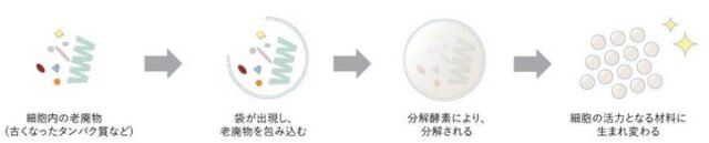 クリーンエンス アップサイクル原料の説明