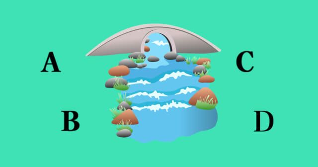 桜の木はどこに？【心理テスト】あなた向きのお花見スタイル診断！