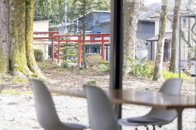 苔むした木立や赤い鳥居を眺めていると、不思議と心が和みます