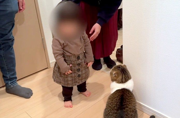 赤ちゃんと会った猫