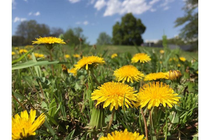 「二十四節気」とはどんなもの？