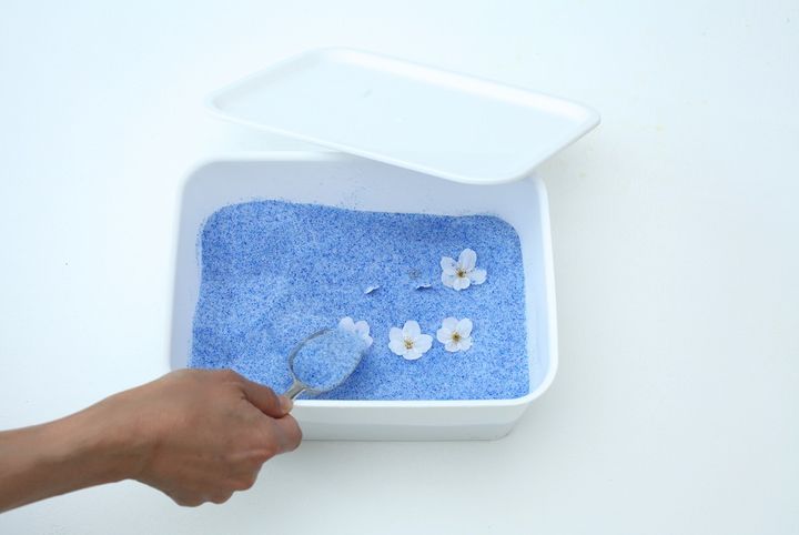 サクラのドライフラワー作り方