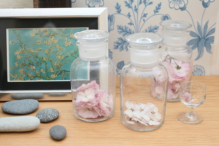 シリカゲルでドライにした桜を飾る