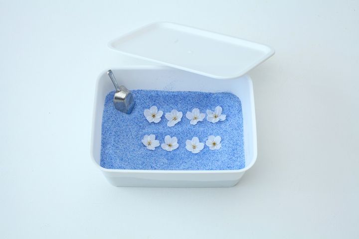 サクラのドライフラワー作り方