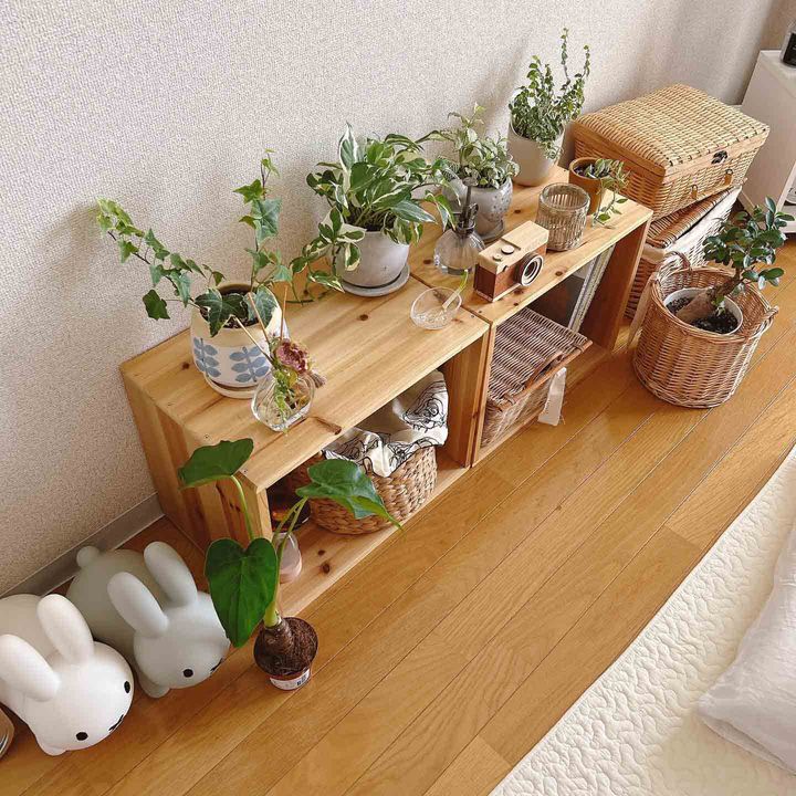 ニトリやIKEAでオシャレな部屋はできる！新生活の参考になる一人暮らし1LDKインテリア3選