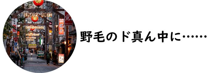 野毛たべもの横丁
