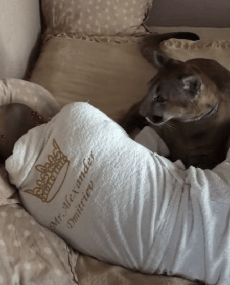 朝だよ〜！ 起こしに来てくれたのは、あの猛獣！