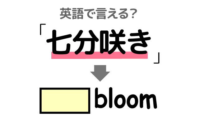 英語で【七分咲き】は何て言う？「東京の桜は」などの英語もご紹介