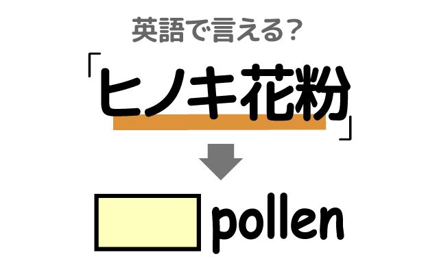 英語で【ヒノキ花粉】は何て言う？「アレルギーがある」などの英語もご紹介